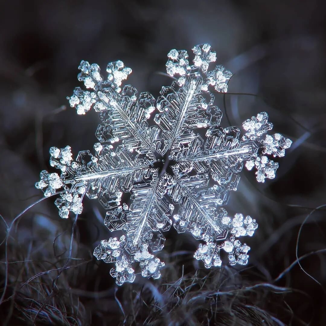 他用一部烂相机,花了10年时间只拍一朵雪花,当照片放大1000万倍,令人咋舌