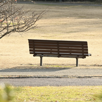 这个周末，你打算去公园躺平不？