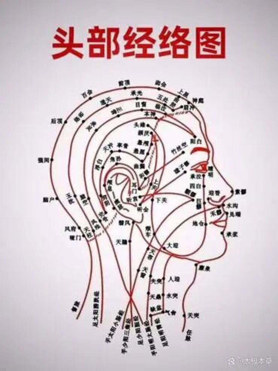 科普 | 从古至今,秀发都是如何养成的