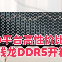 2026内存大涨前夜，AMD平台高性价比之选：棘蛇 钱龙DDR5开箱实测