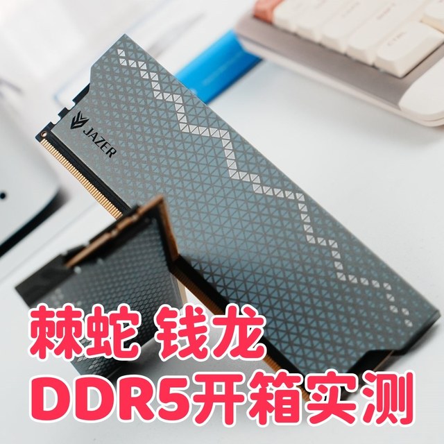 2026内存大涨前夜，AMD平台高性价比之选：棘蛇 钱龙DDR5开箱实测