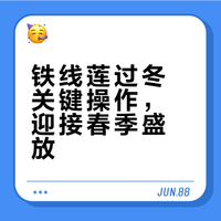 铁线莲冬季养护重点，把这些做好，许你来年开满花#园艺##塔莎的花园# 塔莎的花园的微博视频