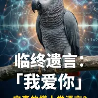 鹦鹉，我们低估你了！｜生物调查局01 人们常说“鹦鹉学舌”，但鹦鹉真的知道自己在说什么吗？ 一只名叫Alex的非洲灰鹦鹉，颠覆了人类对鸟的认知。它懂数学、会推理，甚至懂得爱与嫉妒。在它去世前，它对主人留下的最后一句话，让无数人泪目。本期视频，让我们一起走进鹦鹉的内心世界，看看这些披着羽毛的伙伴，到底有多聪明？#非洲灰鹦鹉  #鹦鹉说话  #鹦鹉学舌 #宠物成精了  #知识前沿派对