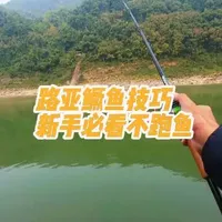 下次碰到钻结构的鱼，这样操作包不跑鱼！#路亚 #路亚新手入门教程 #鳜鱼 #路亚野钓 #路亚教学