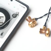 不堆料也能赢:SIVGA M300 黑檀木平头塞音质揭秘