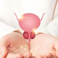 尿路感染联合用药，热淋清颗粒，三金片，左氧氟沙星怎么搭配？