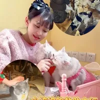 一只猫，一位阿姨，300条生命 是我今年冬天最滚烫的相遇#流浪猫救助#东风风神L8#15万以内超舒适的豪华座舱