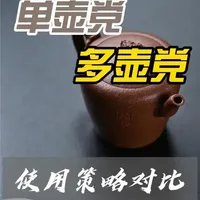 多壶党与单壶党：使用策略对比 对于玩家而言，无需拘泥于某一党派。许多人的玩壶之路会从“单壶”起步，随着兴趣深入，自然走向“多壶”。关键在于认清自己的核心需求：是追求茶汤风味的极致稳定，还是享受器物搭配与把玩的多样乐趣？策略本无高下，能让自己在茶事中获得愉悦与满足，便是最佳的使用之道。#非遗守护人#紫砂壶