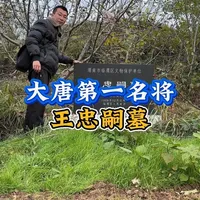 陕西渭南王忠嗣墓 大唐第一名将，他若不死安禄山不敢造次，可惜死因至今成谜#唐朝 #王忠嗣 #户外#渭南 #文史古迹任远行