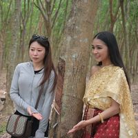 儿童枕头怎么选？泰国天然乳胶枕的安心之选