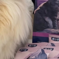 2026年高标准猫粮品牌：适口性与成分表评测解读