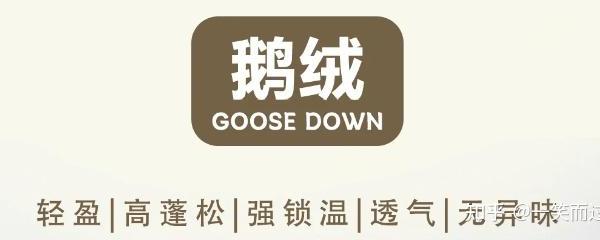 2026年1月【鹅绒羽绒服推荐+选购全攻略】：鹅绒服怎么选？买什么品牌好？君羽/黑冰/天石/GaKior/凯乐石/北面等十大鹅绒服品牌推荐！寒冷地区必备！