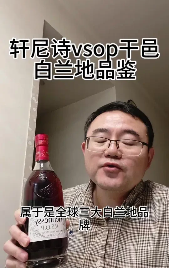 轩尼诗VSOP干邑白兰地品鉴#轩尼诗vsop #品酒 #白兰地