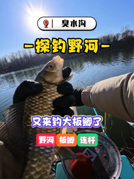 一不小心大板鲫又连杆了 #野钓#钓鱼#汉鼎一号极轻小综合#汉鼎一号系列@汉鼎官方旗舰店