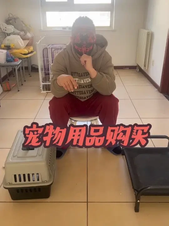 宠物用品搜索关键词和买哪种！这回我说清了！不许问了！#幼犬到家