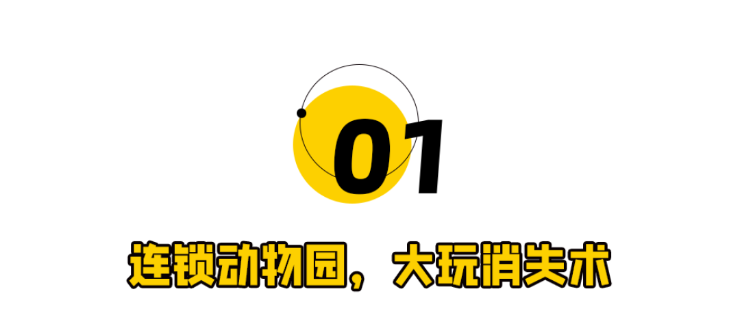 第一波商场动物园,正在批量跑路