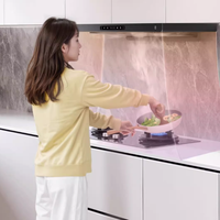 传统烟灶 vs 现代智能烟灶？200+用户真实体验告诉你答案