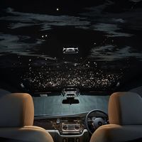 汽车星空顶是氛围神器还是华而不实？2000+用户观点大PK