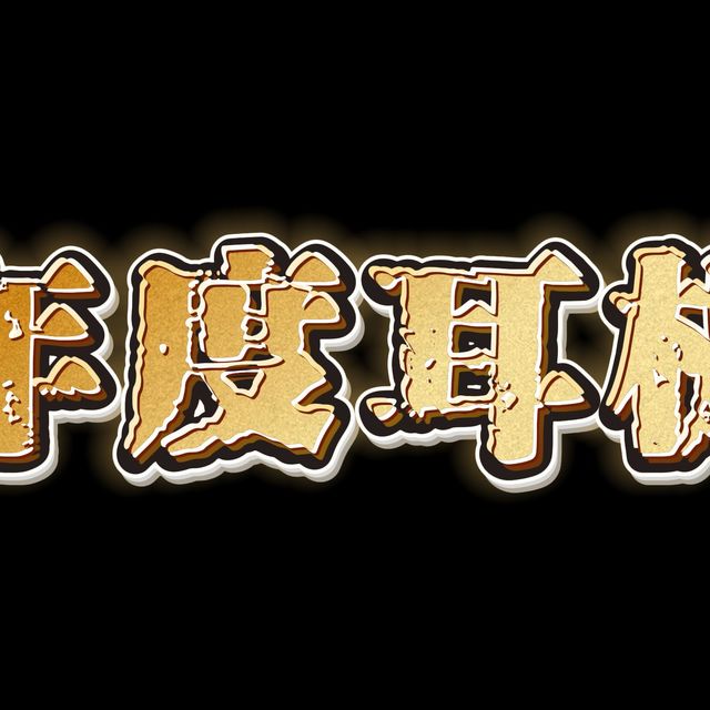 【无恰饭】2025年小熊猫二世年度耳机总结评选