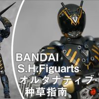 【种草指南】万代 S.H.Figuarts 抉择者·0