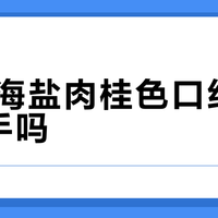 3CE海盐肉桂色口红值得入手吗？全网用户观点大PK