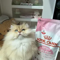 皇家猫粮是“救命神粮”还是“谷物陷阱”？1000+用户观点大PK