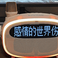 忘词救星！300元价位K歌音箱天花板，雅兰仕K歌提词音箱评测