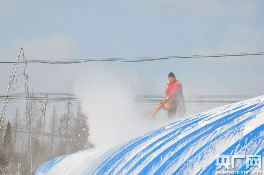 多地迎初雪,各种大棚除雪工具来了!高手在民间,不信往后看!