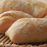 恰巴塔已进入瑜伽裤时代