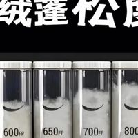 800蓬主流羽绒服盘点：轻暖平衡的黄金之选