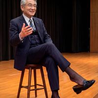 中国没有奢侈品男袜, 不要上当