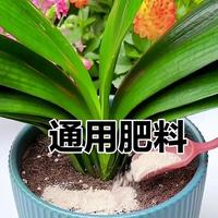 有机肥：豆粕肥、牛羊粪、骨粉，长叶促花效果不同，你用对了吗？