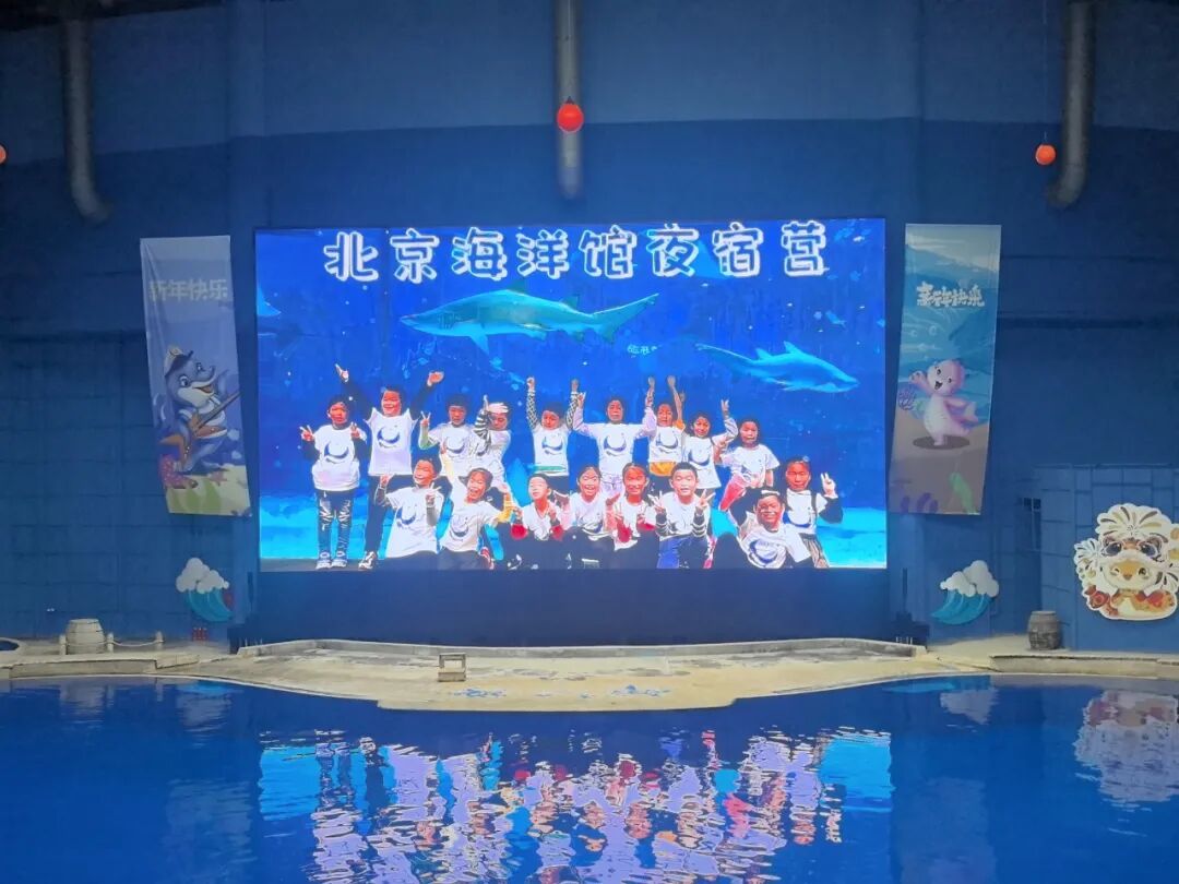 夜宿北京海洋馆,近距离观察海洋生物,畅享海底自助餐!