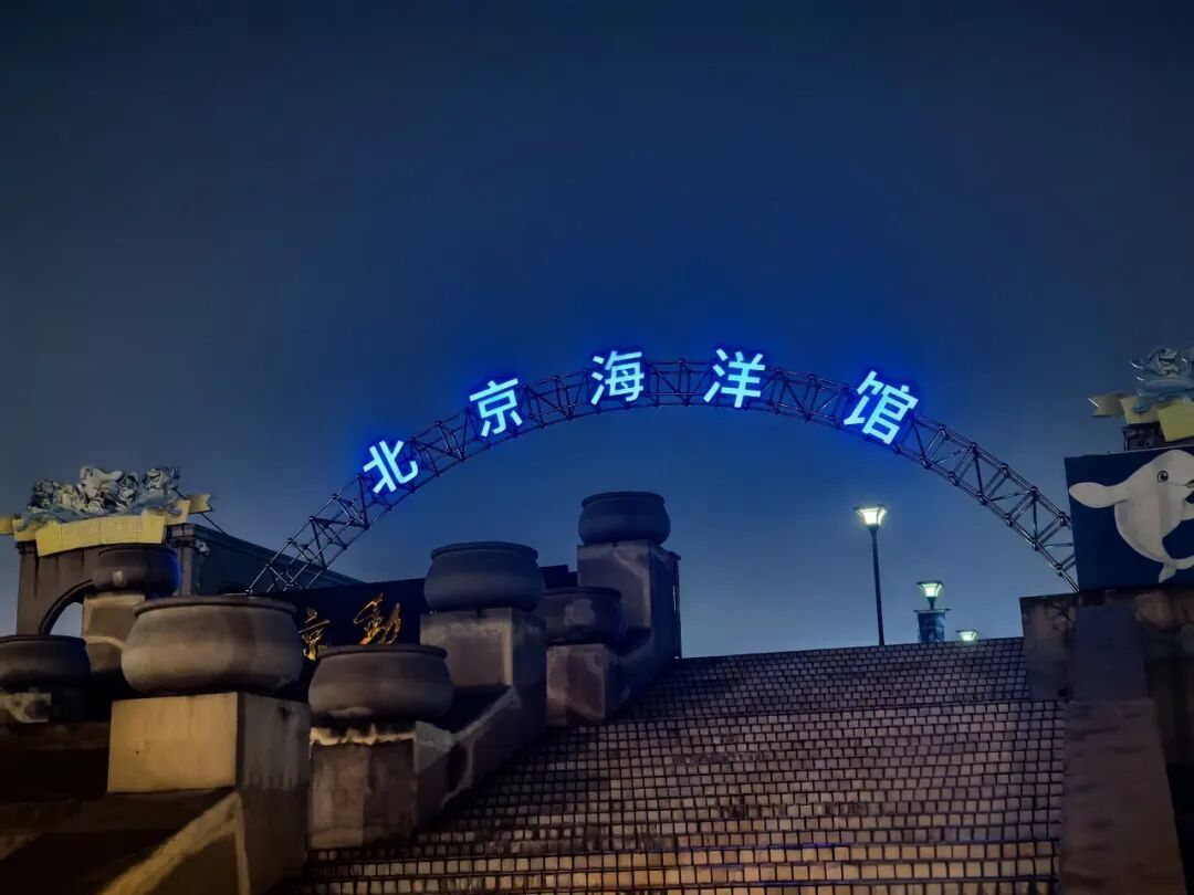 夜宿北京海洋馆,近距离观察海洋生物,畅享海底自助餐!
