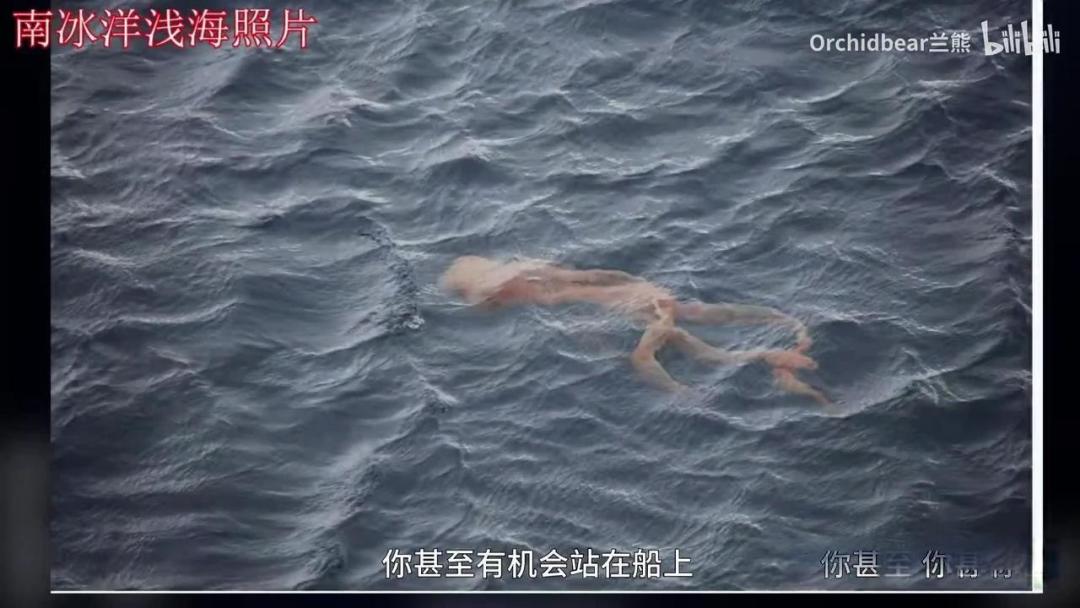 世界上真的存在冥河水母嘛？