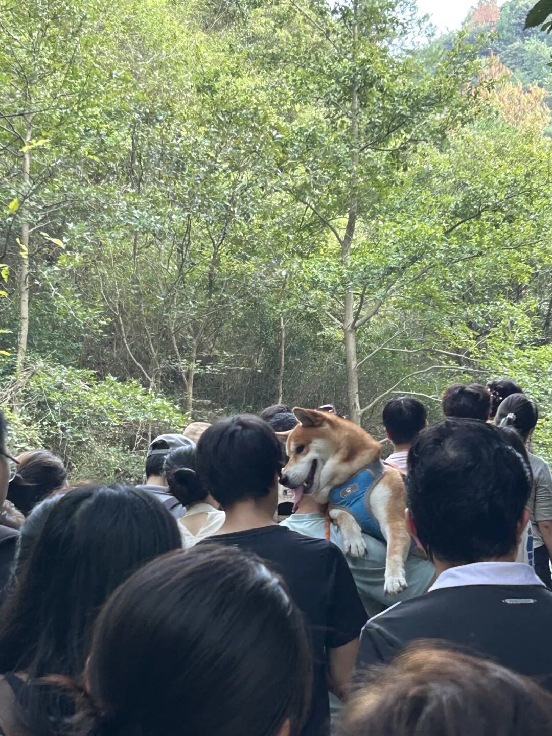 Lia的旅游小记 | 桐庐三天两晚家庭游