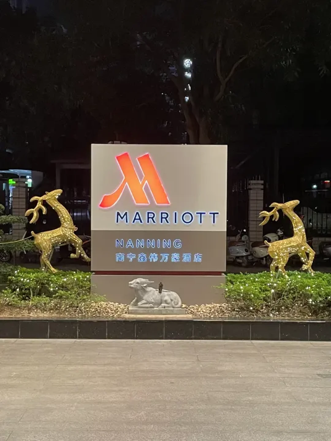 万豪白挑 南宁鑫伟万豪
