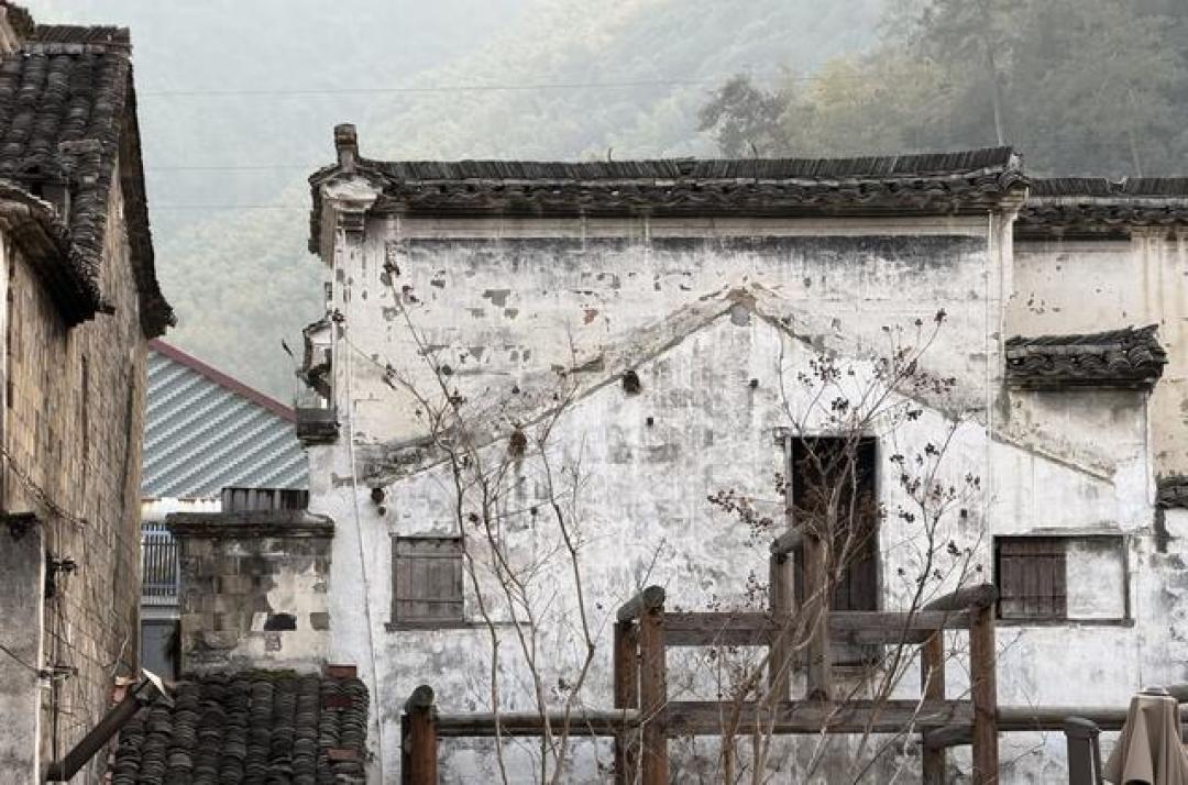 我是北京人，游完浙江桐庐，满心都是说不完的新鲜体验。