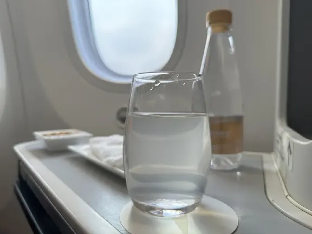 商务舱飞行体验:海航789反鱼骨