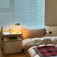 捕捉秋日暖光：让家温柔包裹身心的小技巧