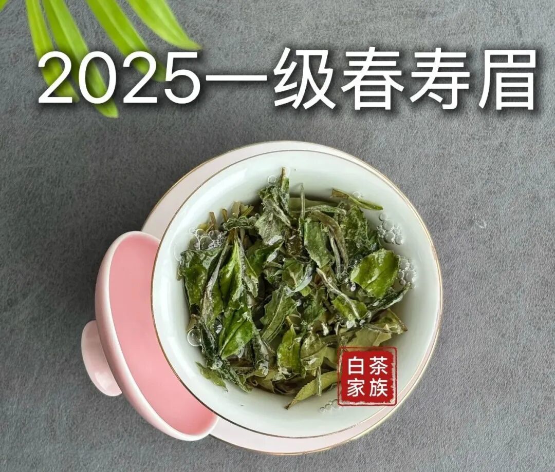 买盖碗总踩雷?记住这“4不买”,新手也能选对