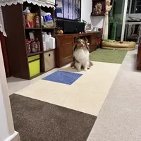 ☕️抹茶巧克力toli跑道 实铺测评