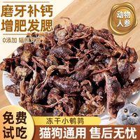 猫咪做梦都想吃到的5种健康零食,你喂过几种?很多猫没尝过