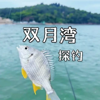 📍惠州双月湾｜海边玩手竿也太好玩啦‼️
