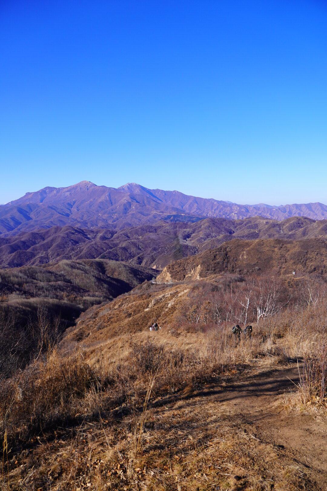 🏔️ 为什么冬天必冲东灵山？​