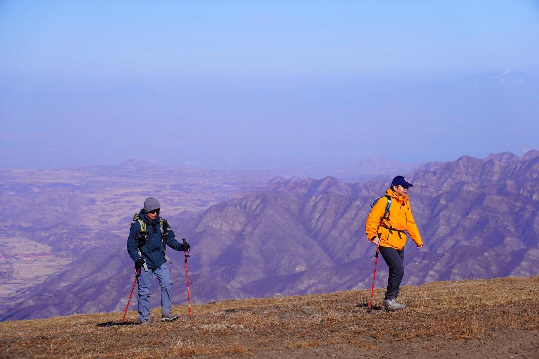 🏔️ 为什么冬天必冲东灵山？​
