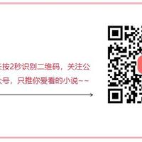【小说大乱炖】第 29 期 好看的高质量官场、仕途小说，爽文