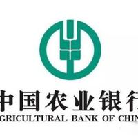 征信花 还能申请银行信用贷款吗?