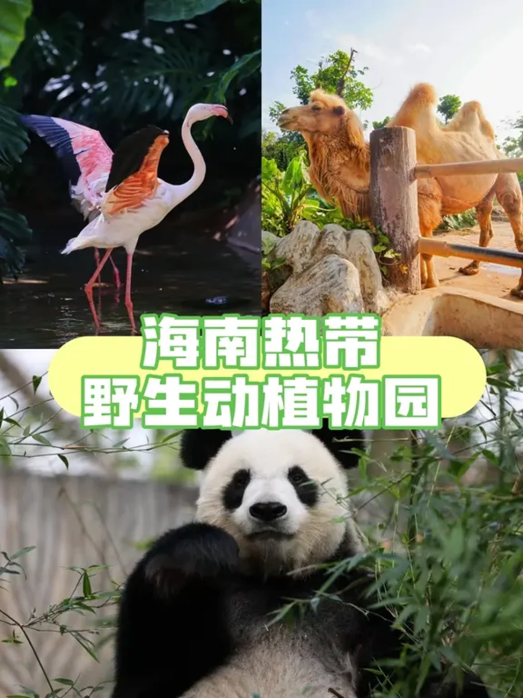海口亲子科普研学⛰️｜5大场馆保姆级攻略🍭