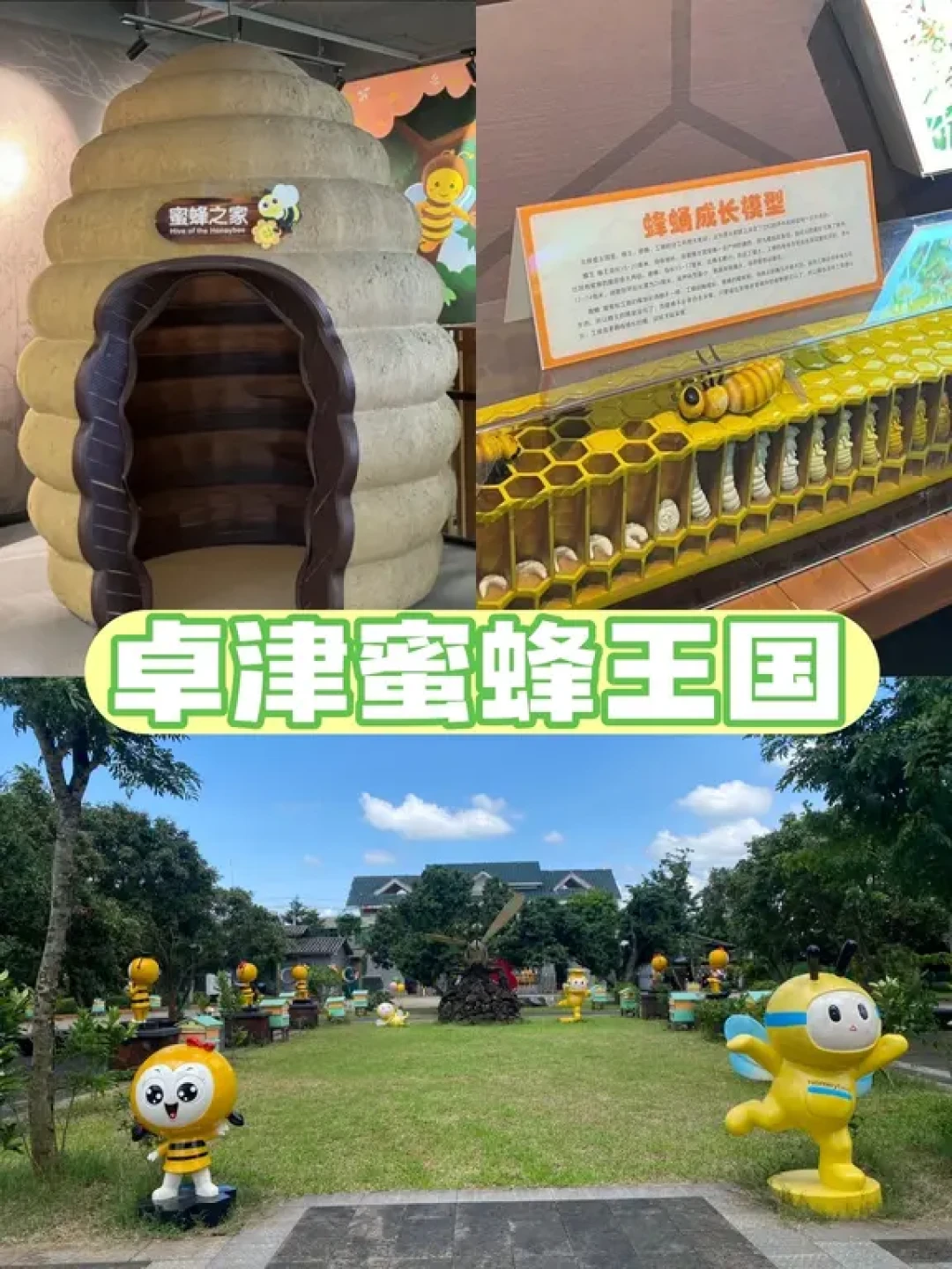 海口亲子科普研学⛰️｜5大场馆保姆级攻略🍭